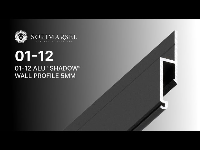 01-12 (GELOCHT) (SCHWARZ) - SCHATTEN PROFIL 5MM (WAND)