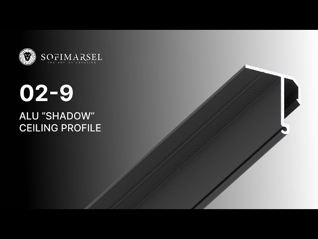02-9 SCHATTEN PROFIL 5MM (DECKEN)