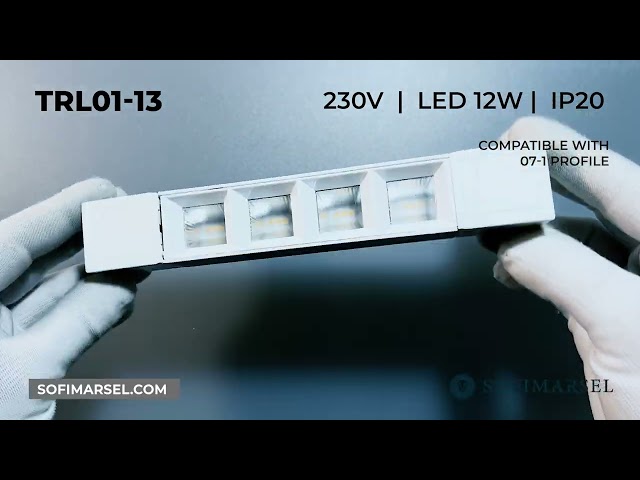 TRL01-13/TRL01-14 TRACK LEUCHTE