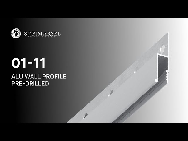 01-11 (GELOCHT) BASIS PROFIL (WAND)